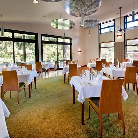 Legacy Te Waonui Hotel Franz Josef Exteriér fotografie